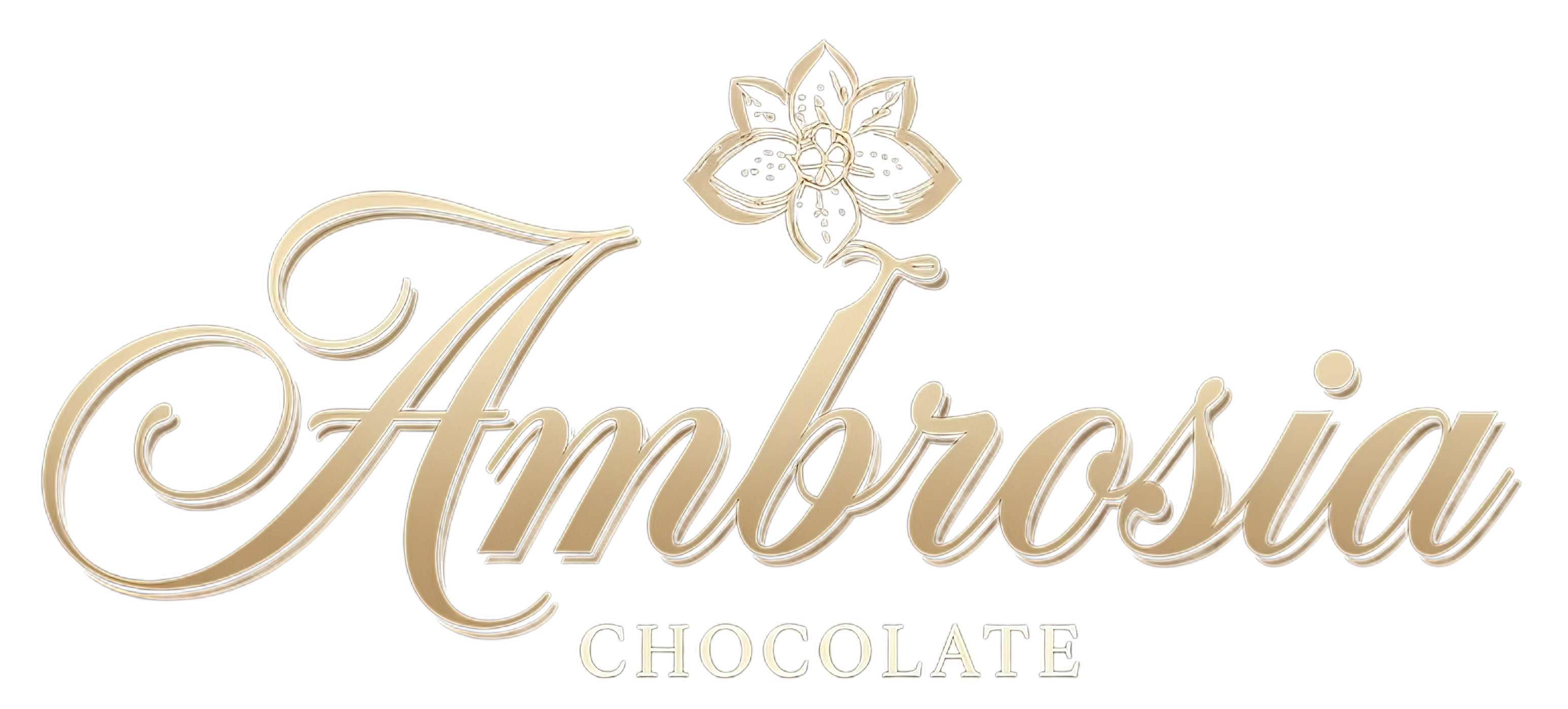 ambrosiachocolate.com